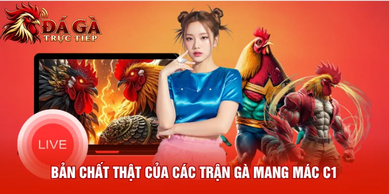 Bản chất thật của các trận gà mang mác C1