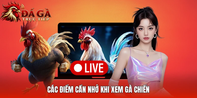 Các điểm cần nhớ khi xem gà chiến