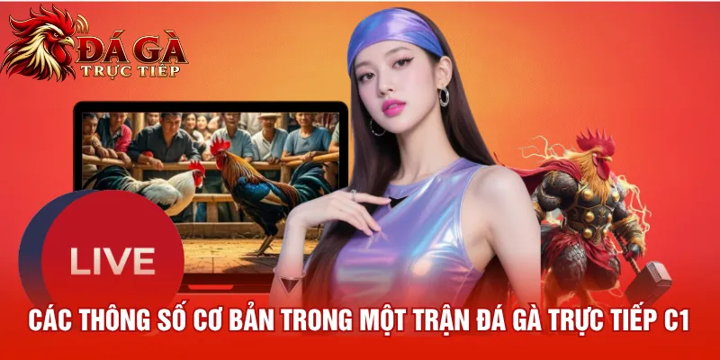 Các thông số cơ bản trong một trận đá gà trực tiếp C1
