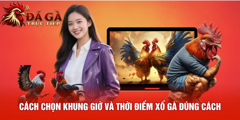 Cách chọn khung giờ và thời điểm xổ gà đúng cách