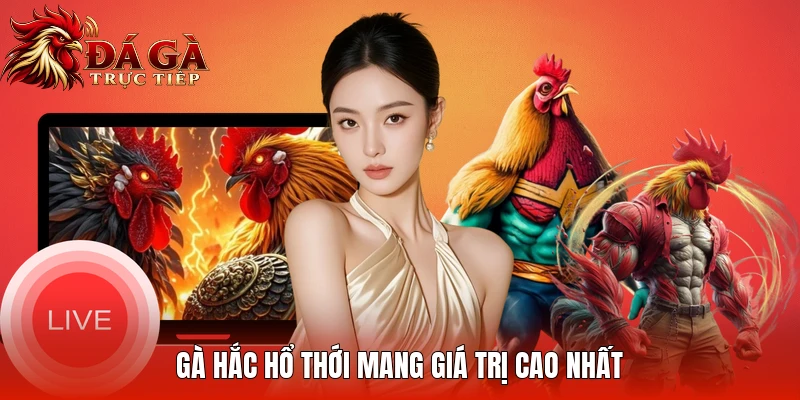 Gà hắc hổ thới mang giá trị cao nhất