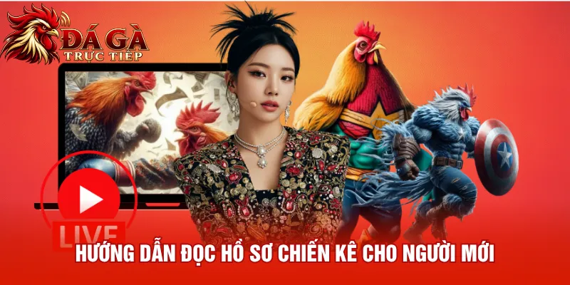Hướng dẫn đọc hồ sơ chiến kê cho người mới