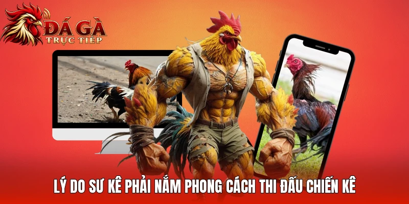 Lý do sư kê phải nắm phong cách thi đấu chiến kê
