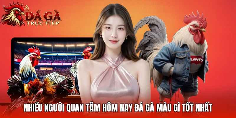 Nhiều người quan tâm hôm nay đá gà màu gì tốt nhất