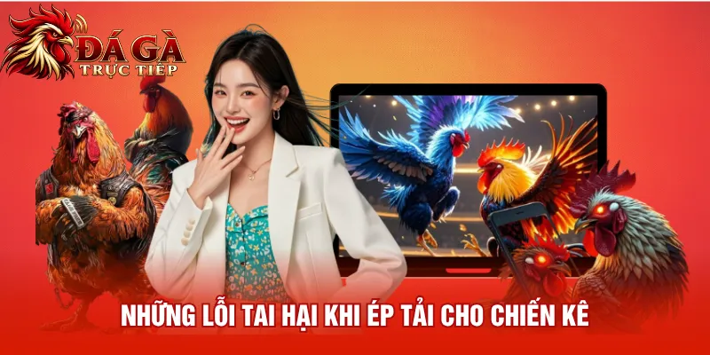 Những lỗi tai hại khi ép tải cho chiến kê