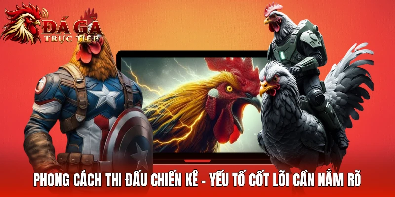Phong Cách Thi Đấu Chiến Kê - Yếu Tố Cốt Lõi Cần Nắm Rõ