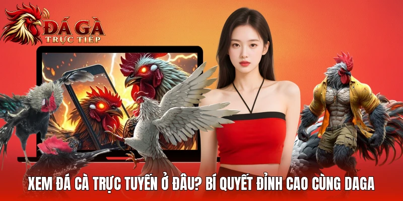 .0Xem Đá Gà Trực Tuyến Ở Đâu? Bí Quyết Đỉnh Cao Cùng Daga